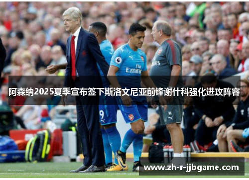 阿森纳2025夏季宣布签下斯洛文尼亚前锋谢什科强化进攻阵容 阿森纳2025夏季宣布签下斯洛文尼亚前锋谢什科强化进攻阵容